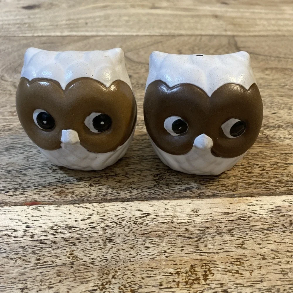 Rare Vintage Owl Salt and Pepper Shakers Set